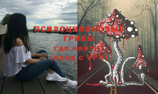 марки lsd Горнозаводск