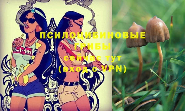 трава Горняк