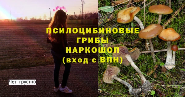 трава Горняк
