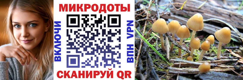 Галлюциногенные грибы ЛСД Меленки